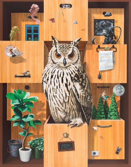 Rock Eagle Owl's Drawer
