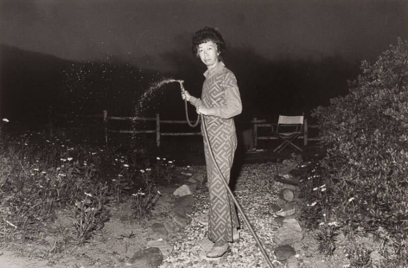Lucy watering at night, from the series The Jangs