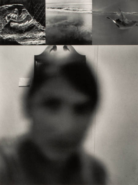 Mermaid, from the series Return Trips