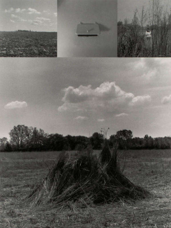 Prarie grass, from the series Return Trips