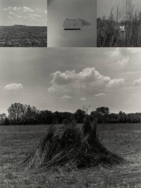 Prarie grass, from the series Return Trips