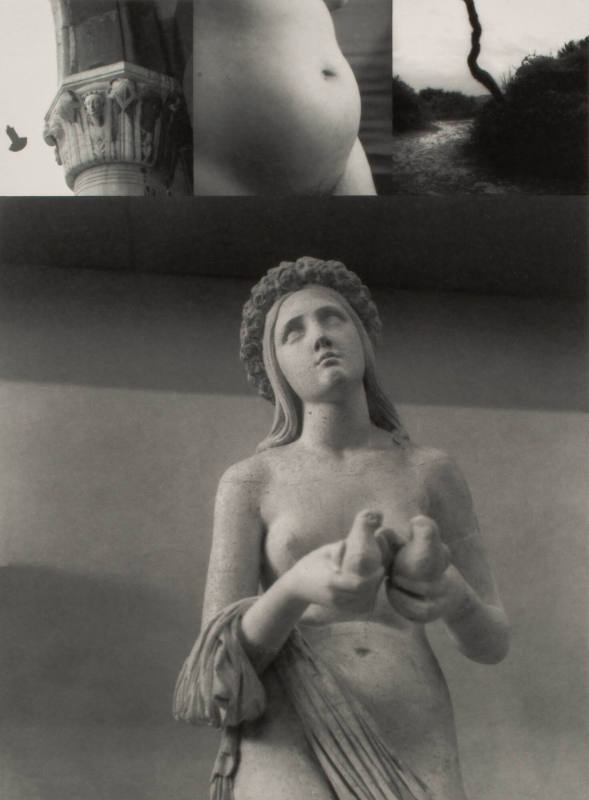 Two doves, from the series Return Trips