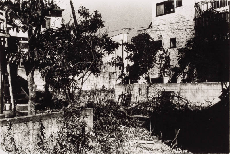 Ruins, Setagaya-ku, Tokyo