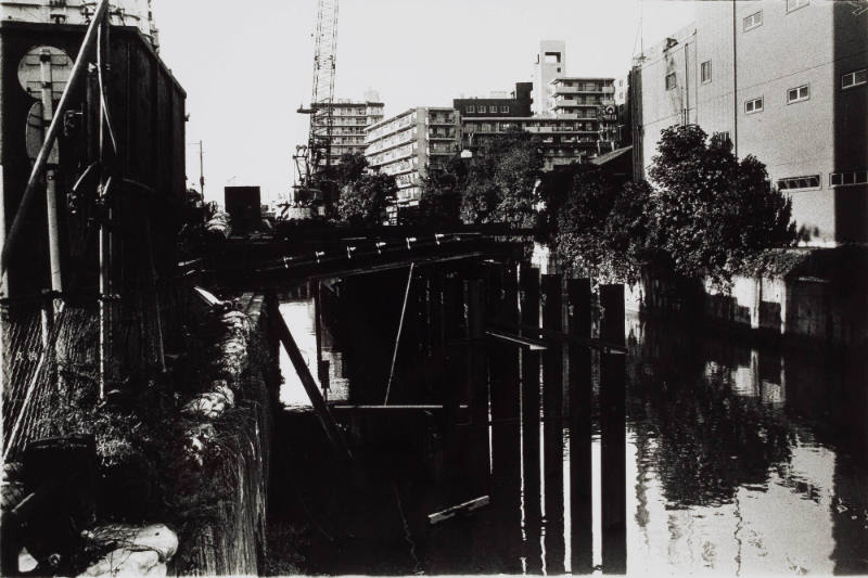 Tokyo: A Following Story 2, Early Winter Trip (Meguro-ku, Tokyo)