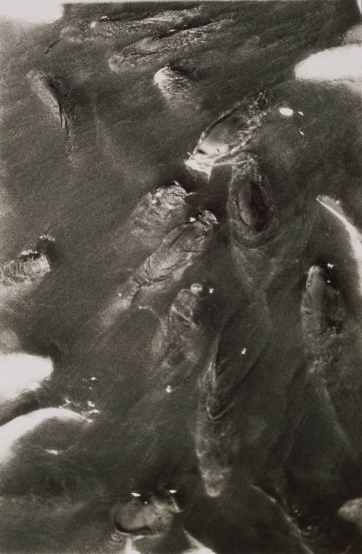 Documentary 20 ('85.7 Inokashira Park, Tokyo)