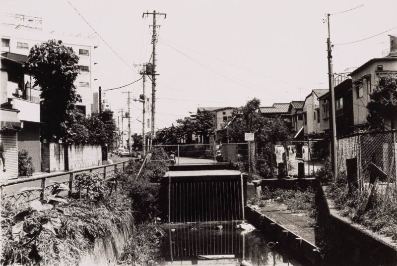 Documentary 33 ('85.9 Setagaya-ku, Tokyo)