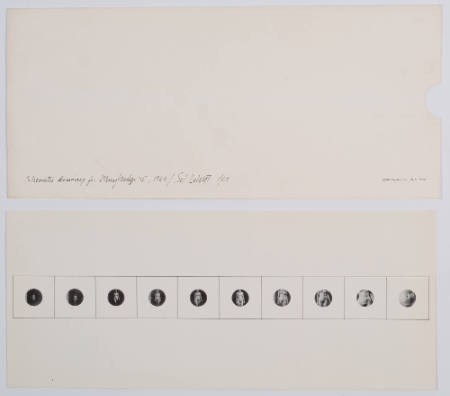 Schematic Drawing for Muybridge II