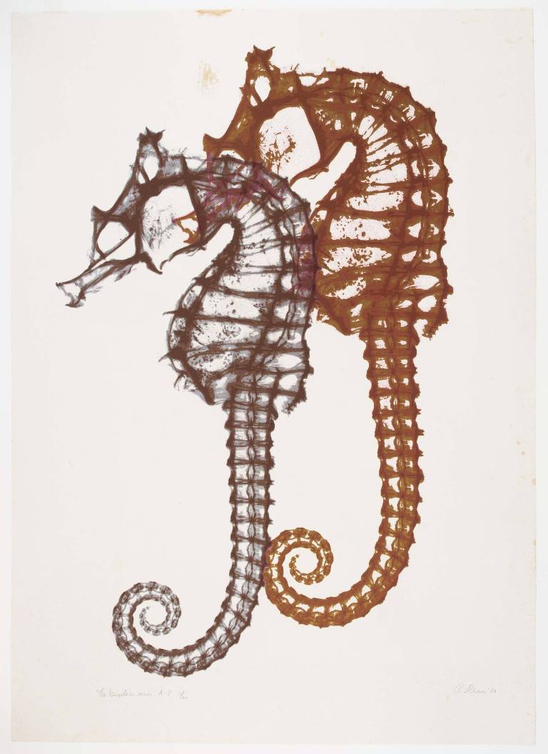 Sea Horses, from The Kingdom Series