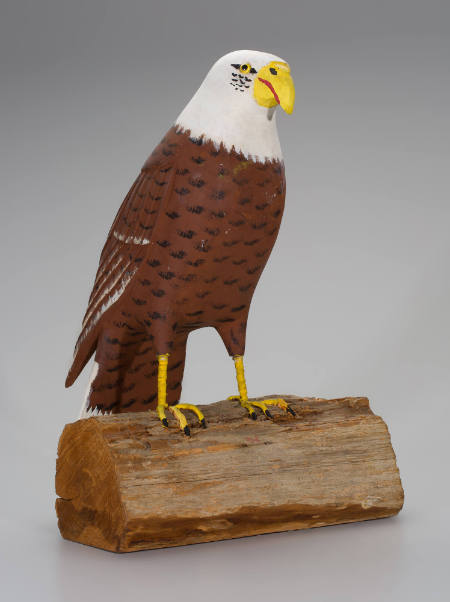 American Bald eagle on Log
