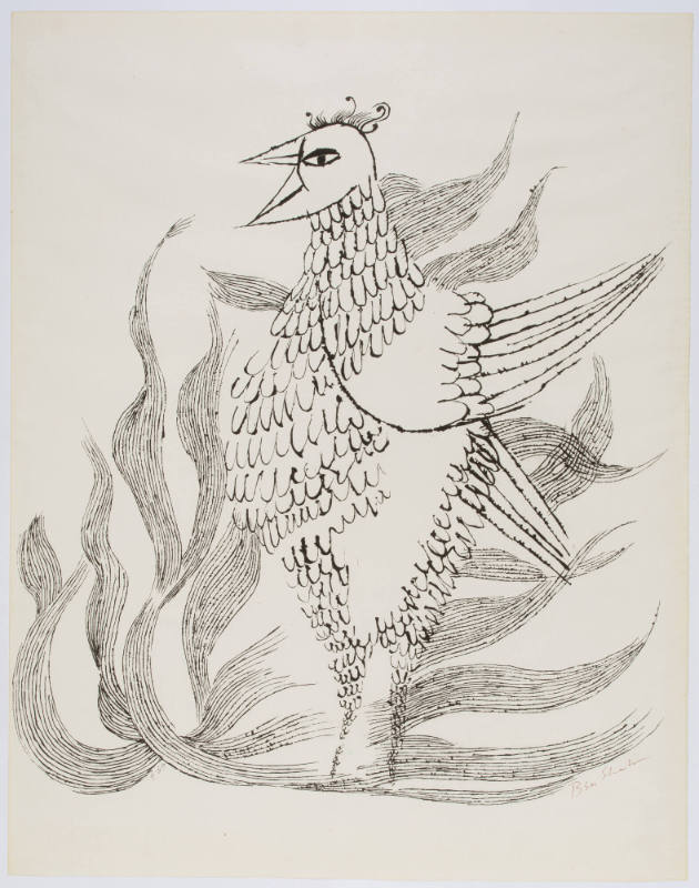 The Phoenix
