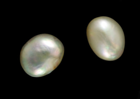 Natural Abalone Pearls
