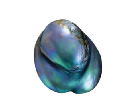 Natural Abalone Pearl