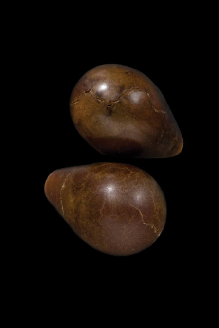 Natural Pinna Pearls