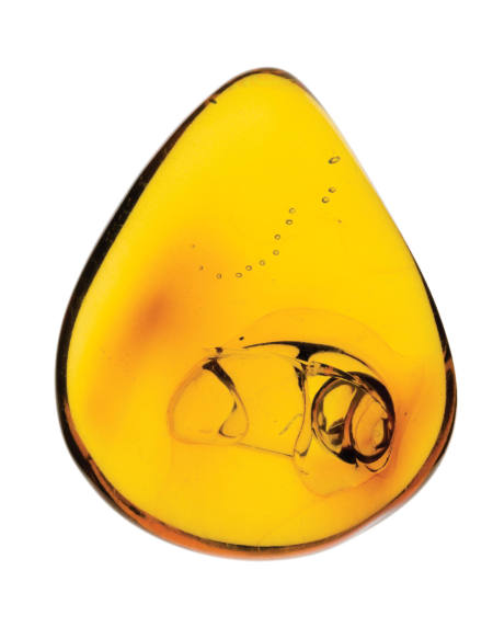 Dominican Amber