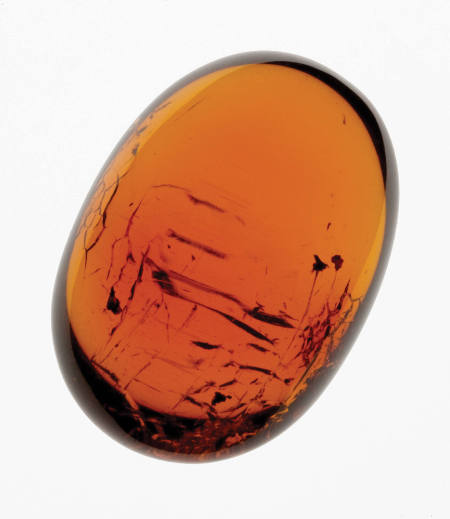 Dominican Amber