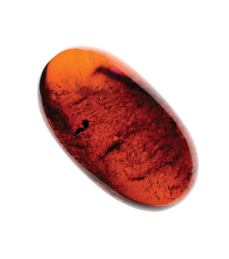 Dominican Amber