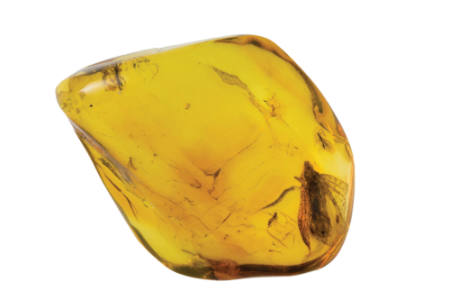 Baltic Amber