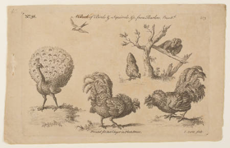 Plate 36 (chickens, peacock, owl) from: Animals of Various Species