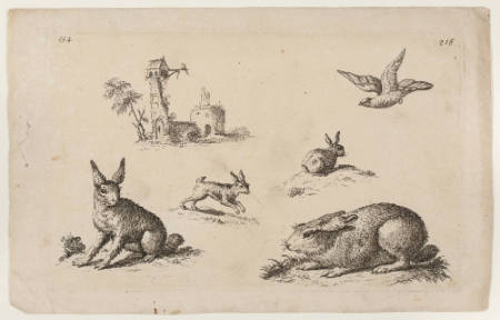 Plate 154 (rabbits, bird) from: Animals of Various Species