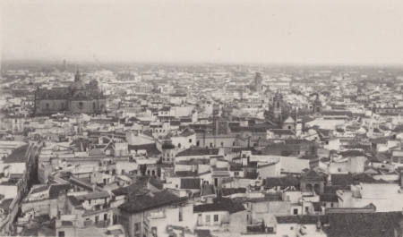 Seville from the top of the Giralda
