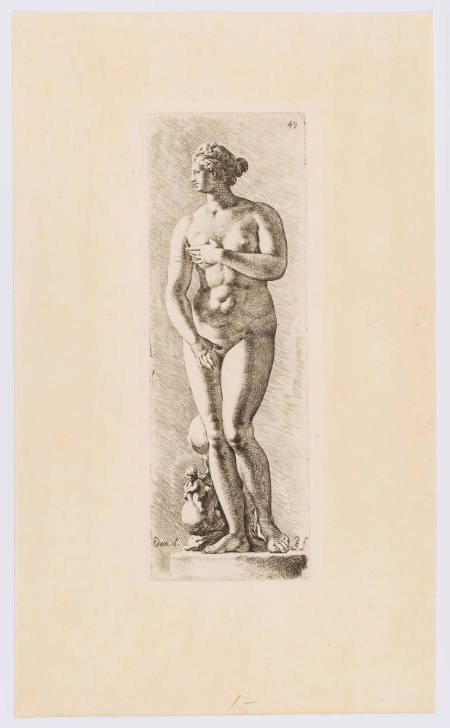 Aphrodite, plate 49 from the Signorum veterum icones