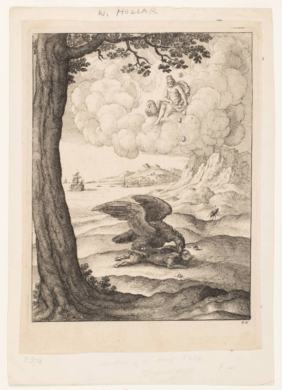 Eagle, Fly and Hare, from Aesop's Fables