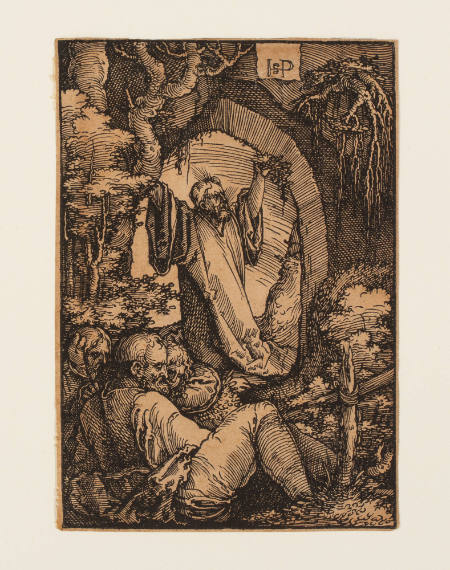 The Agony in the Garden, from the Passion series