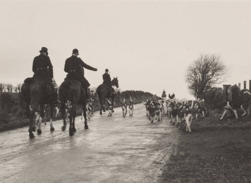 Lord Eglinton's foxhounds