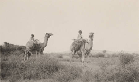 [Two men riding camels]