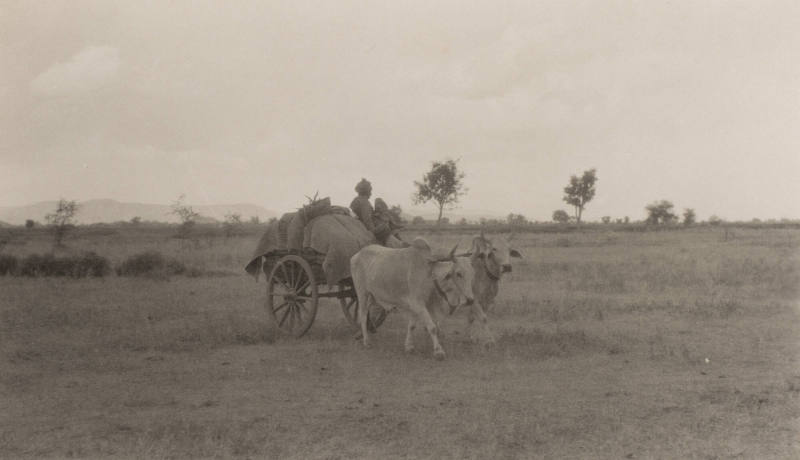 My luggage arrives a Khera Camp