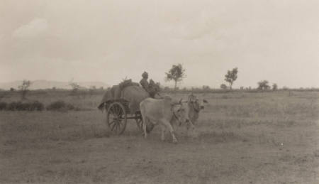 My luggage arrives a Khera Camp