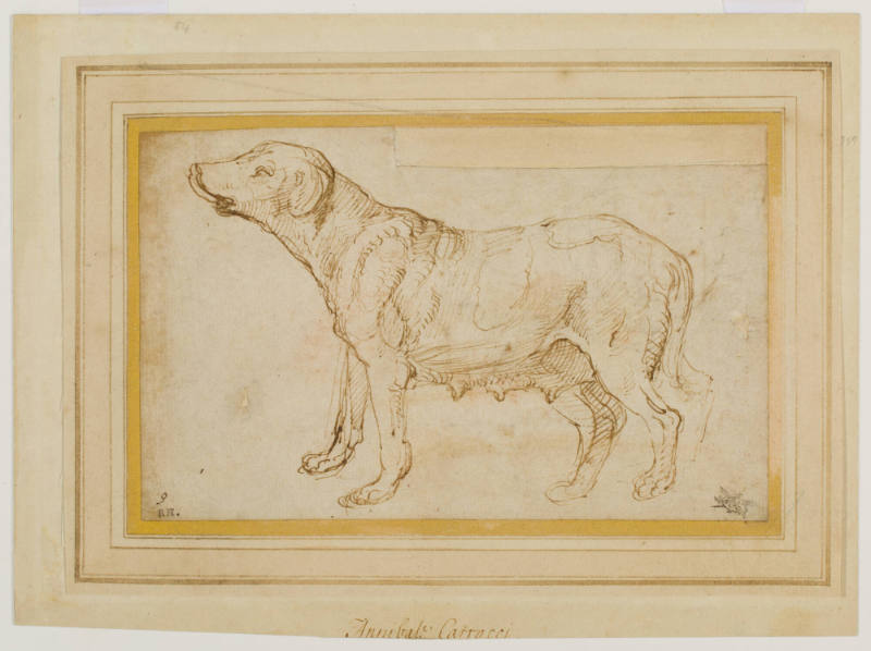 A female dog (recto); Head of a dog (verso)