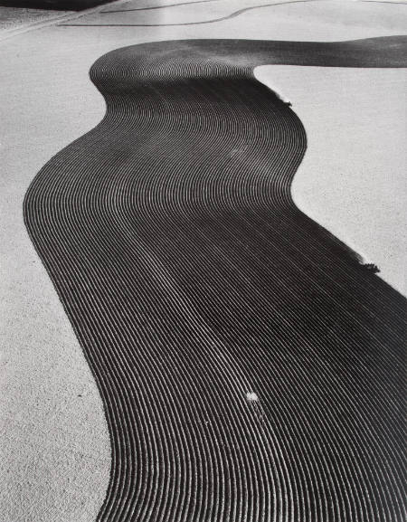 [Contour plowing, Walsh, Colorado]
