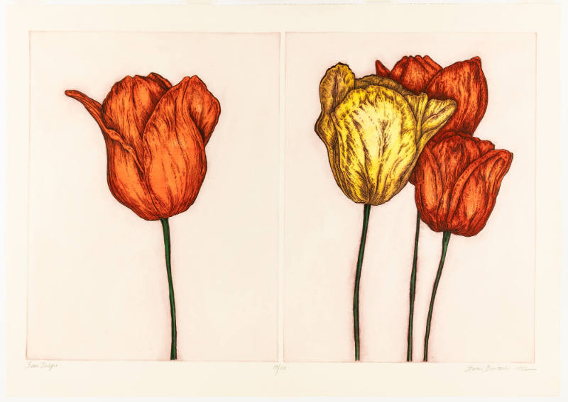 Four Tulips (red and yellow)