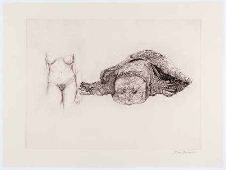 Meeting, from the portfolio Lady and Turtle