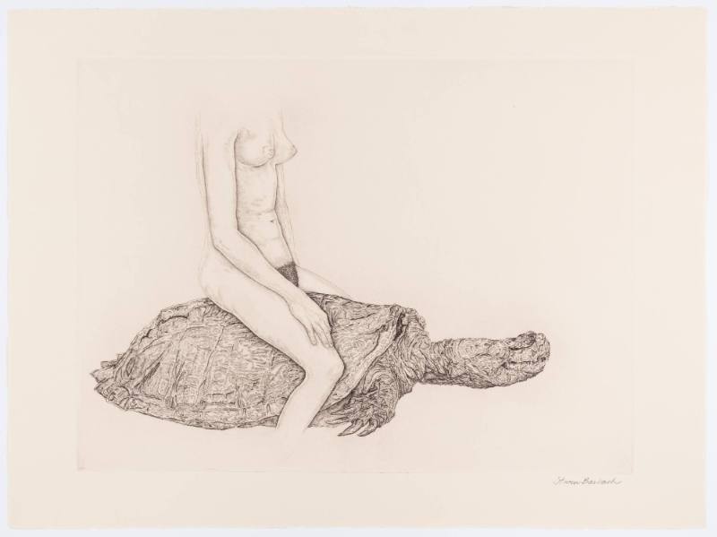 Riding II, from the portfolio Lady and Turtle