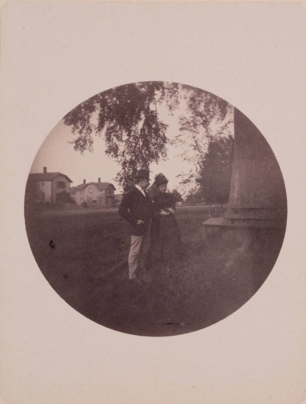 A couple in formal dress, posing under a drooping, leafy tree branch