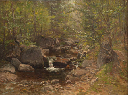 Brook in Spring