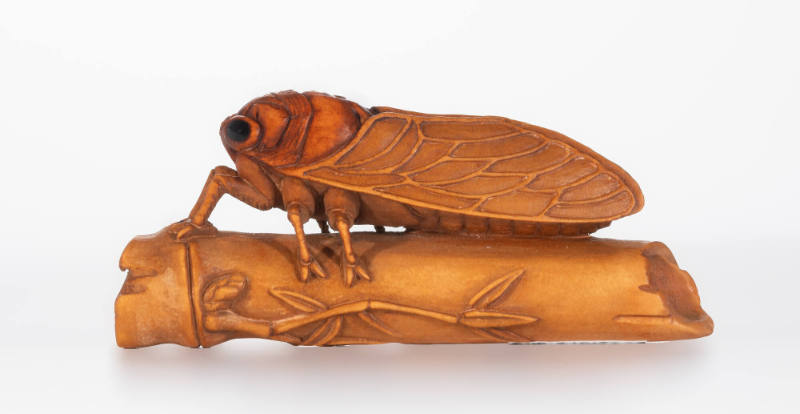 Netsuke of cicada