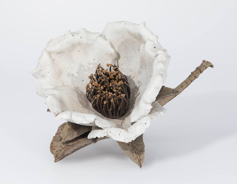 Natsutsubaki (White Camellia)