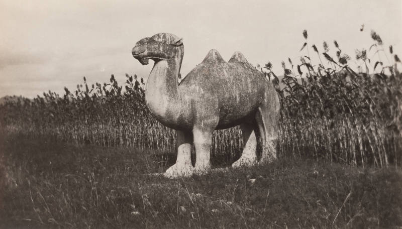 Stone sculpture of a camel, Ming tombs, Spirit Way