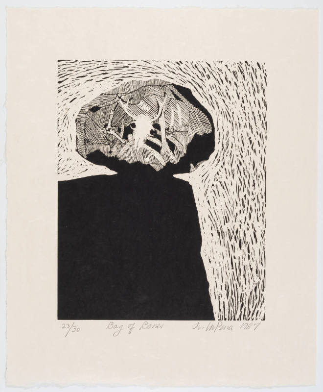 Bag of Bones, from the portfolio The World is a Gift