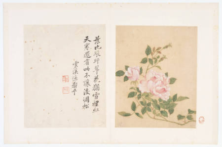 One of eight album pages: calligraphy paired with botanical painting