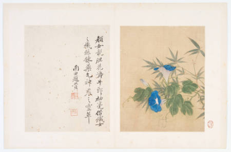 One of eight album pages: calligraphy paired with botanical painting