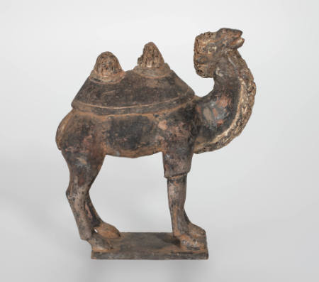 Bactrian Camel