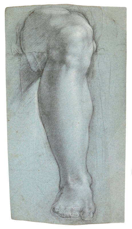 Study of a right leg, after the Prophet Jonah on the Sistine Ceiling