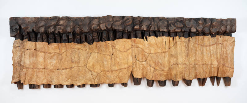 Comb with Bulbs