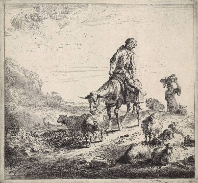 Man on a Donkey