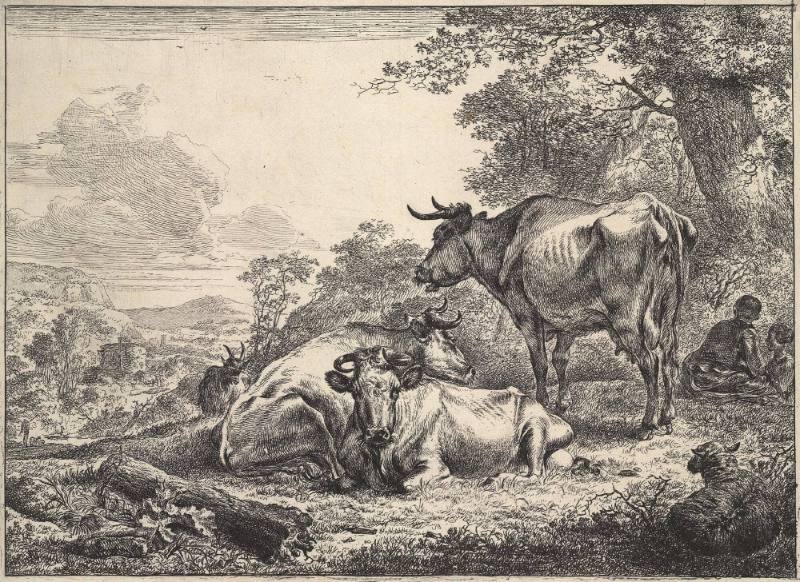 Cows at Rest