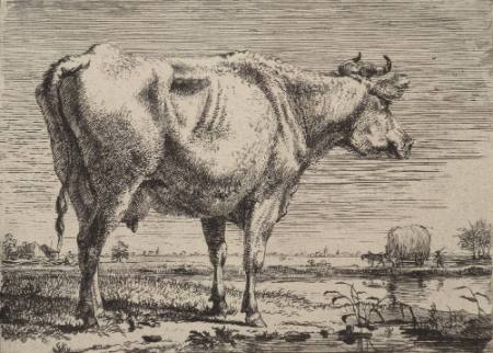 Landscape with Cow